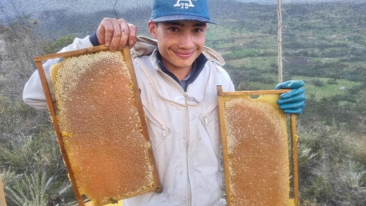 Apicultor con dos marcos de panal de miel en el páramo de Boyacá